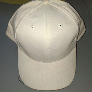 Plain White Baseball Cap [One Size]